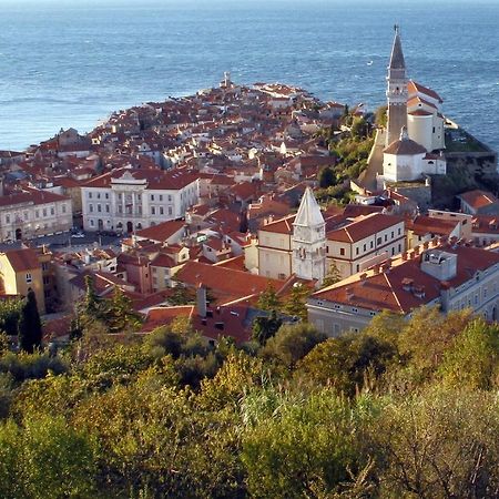 Sea View Istrian Countryside Apartment - Rota Dragonja Zewnętrze zdjęcie