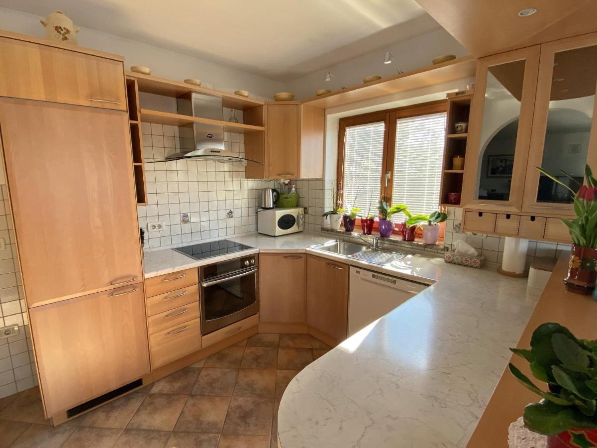 Sea View Istrian Countryside Apartment - Rota Dragonja Zewnętrze zdjęcie