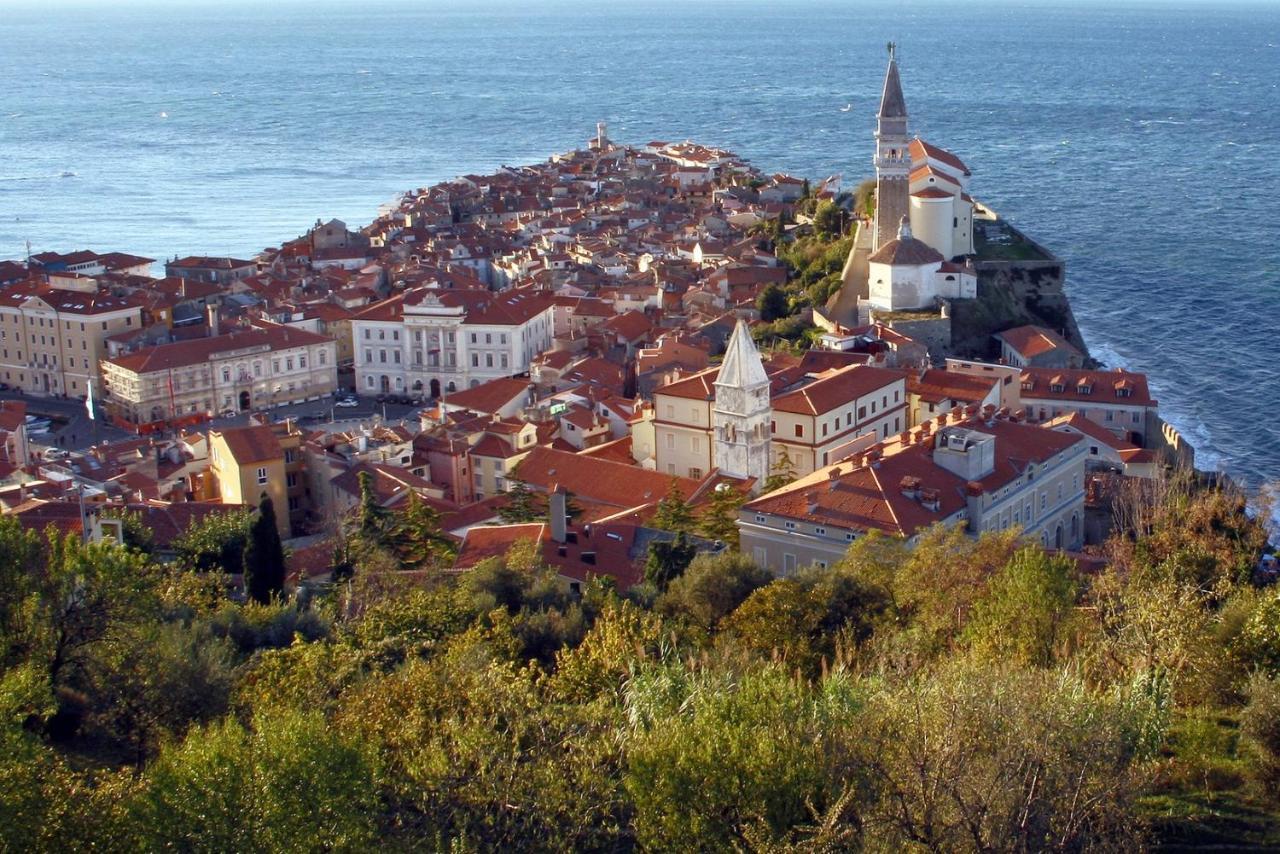 Sea View Istrian Countryside Apartment - Rota Dragonja Zewnętrze zdjęcie