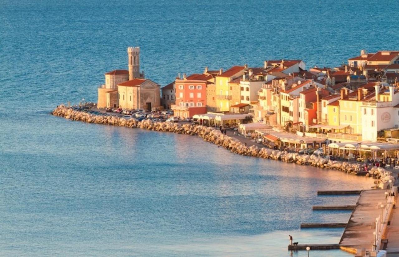 Sea View Istrian Countryside Apartment - Rota Dragonja Zewnętrze zdjęcie